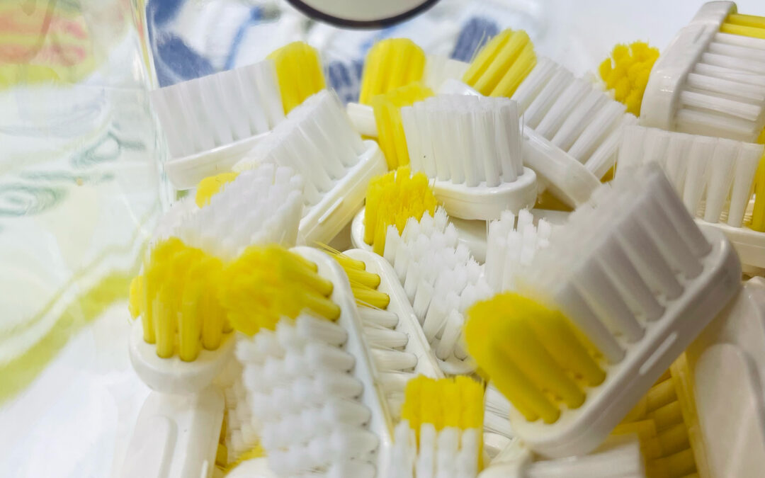 🪥 ZOOM SUR LES TÊTES DE BROSSE À DENTS 🪥 @lamazuna