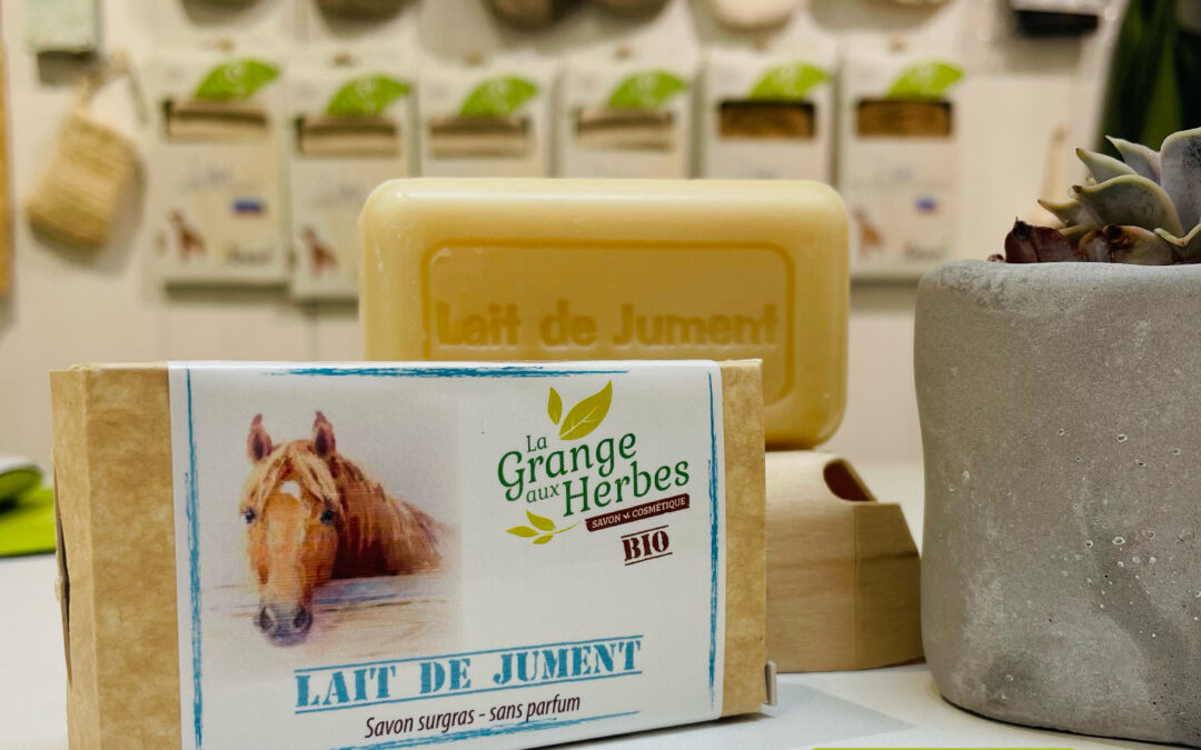 🐴 LES BIEN-FAITS DU LAIT DE JUMENT 🐴 
